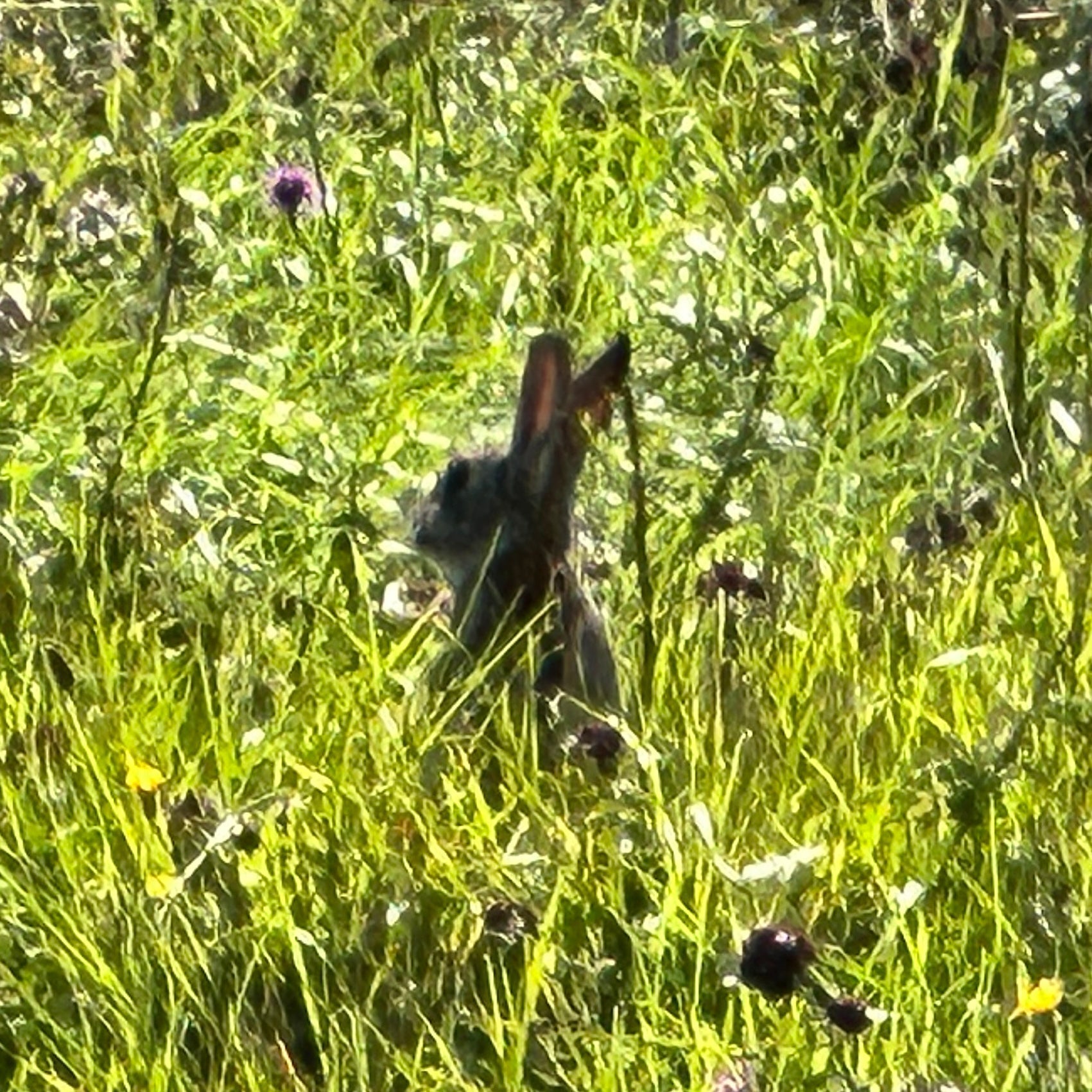 Holiday Closures 2025/26