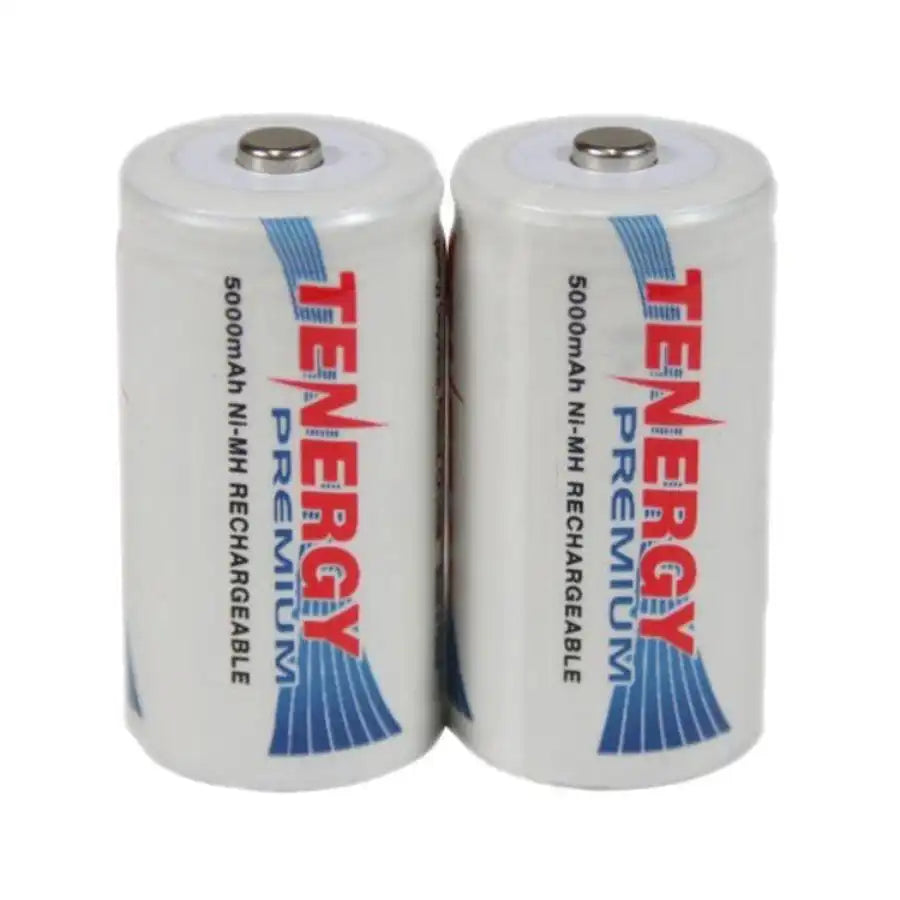Davis 24 hour FARS batteries (pair) 7011.030_weatherspares_co_uk