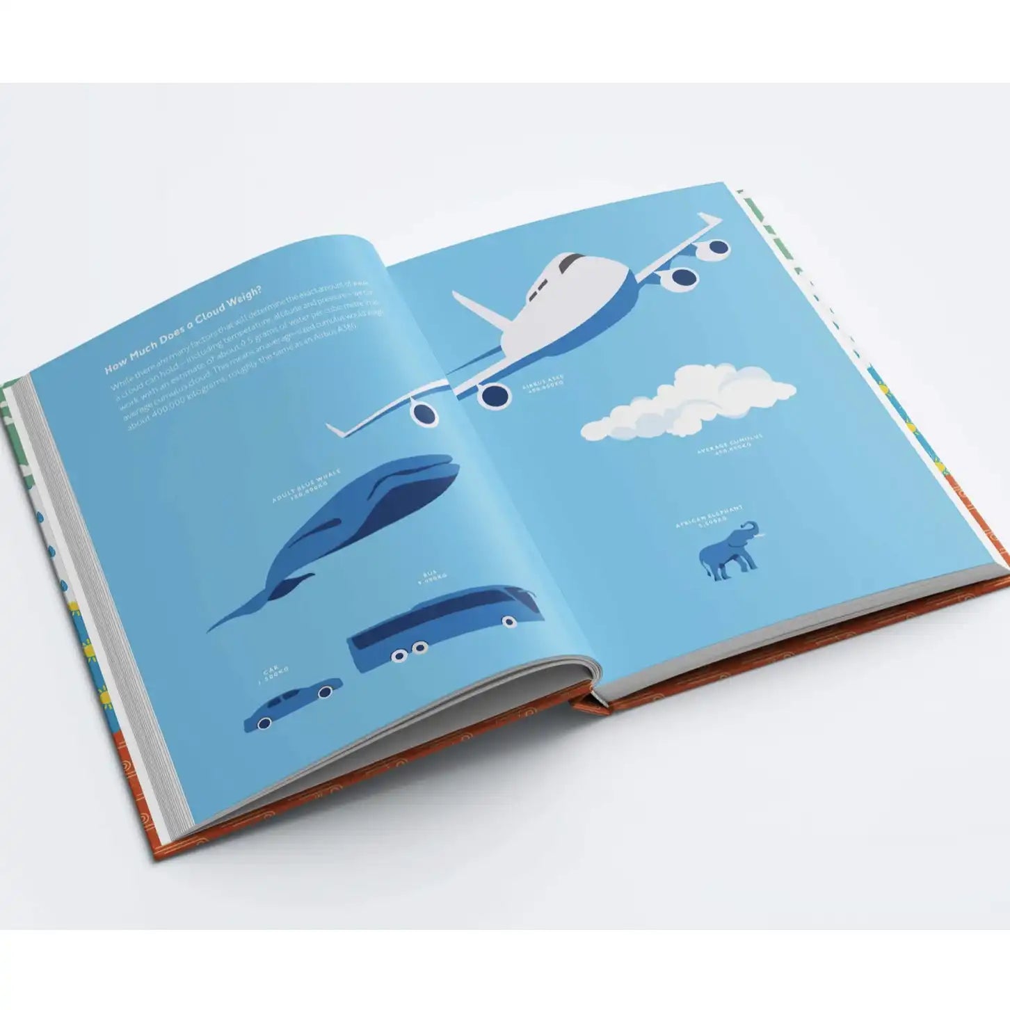 Very British Weather Book by UK MetOffice Hardcover 256 pages_weatherspares_co_uk